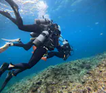 武藤潜水に投稿された画像（2025/3/2）