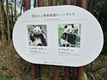 恩賜上野動物園に投稿された画像（2025/3/2）