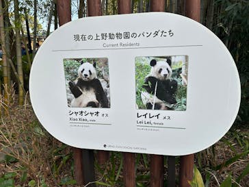 恩賜上野動物園に投稿された画像（2025/3/2）
