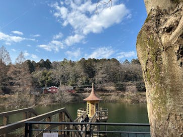 ムーミンバレーパークに投稿された画像（2025/3/2）