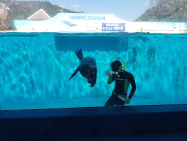 下田海中水族館に投稿された画像（2025/3/2）