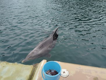 下田海中水族館に投稿された画像（2025/3/2）