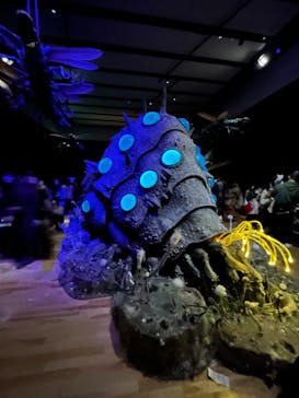 金曜ロードショーとジブリ展　三重展に投稿された画像（2025/3/2）