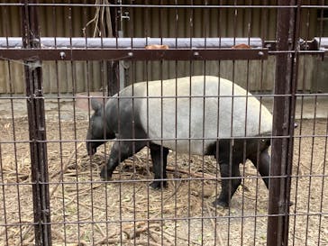 名古屋市東山動植物園に投稿された画像（2025/3/2）