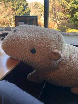 伊豆シャボテン動物公園に投稿された画像（2025/3/2）