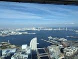 横浜ランドマークタワー 69階展望フロア スカイガーデンに投稿された画像（2025/3/2）
