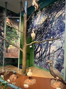 徳島県立 渦の道に投稿された画像（2025/3/2）