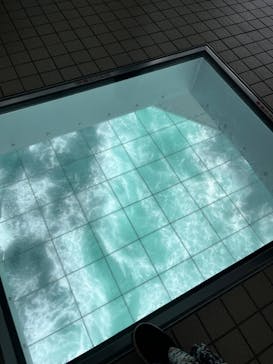 徳島県立 渦の道に投稿された画像（2025/3/2）