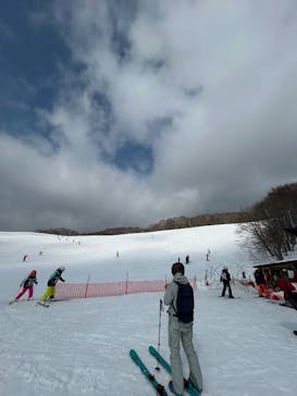 網張温泉スキー場に投稿された画像（2025/3/2）