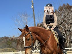 乗馬クラブ 千葉ライディングパークに投稿された画像（2025/3/2）
