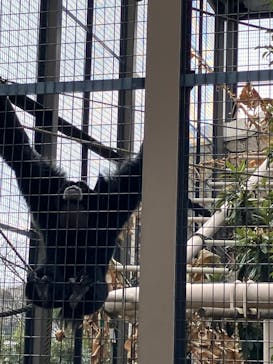 名古屋市東山動植物園に投稿された画像（2025/3/2）