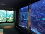 串本海中公園水族館に投稿された画像（2025/3/2）