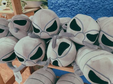 串本海中公園水族館に投稿された画像（2025/3/2）