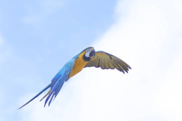 那須どうぶつ王国に投稿された画像（2025/3/2）