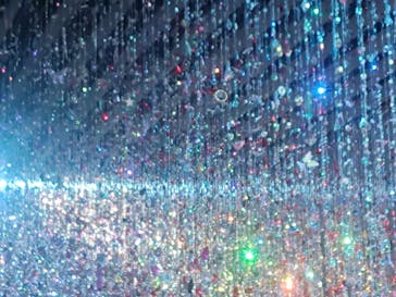 蜷川実花展 with EiM：彼岸の光、此岸の影 NINAGAWA Mika with EiM：Lights of the beyond, Shadows of this worldに投稿された画像（2025/3/2）