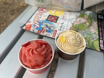 偕楽園本園に投稿された画像（2025/3/2）