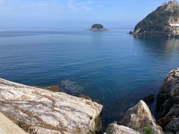 うみたま体験パーク 「つくみイルカ島」に投稿された画像（2025/3/2）