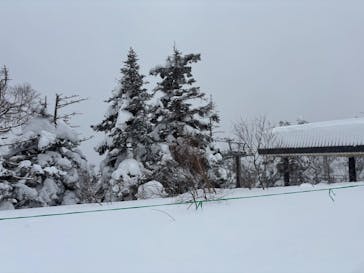 EN RESORT Grandeco Resortに投稿された画像（2025/3/2）