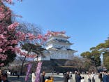 小田原城に投稿された画像（2025/3/2）