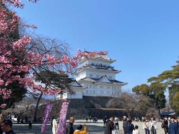 小田原城に投稿された画像（2025/3/2）