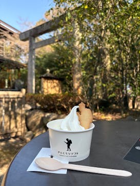 小田原城に投稿された画像（2025/3/2）