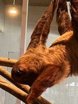 霞ケ浦 どうぶつとみんなのいえに投稿された画像（2025/3/2）