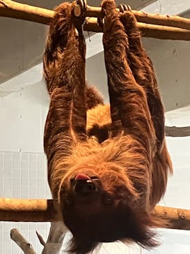 霞ケ浦 どうぶつとみんなのいえに投稿された画像（2025/3/2）