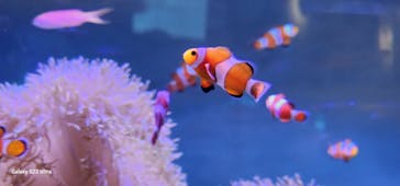 大分マリーンパレス水族館 「うみたまご」に投稿された画像（2025/3/2）