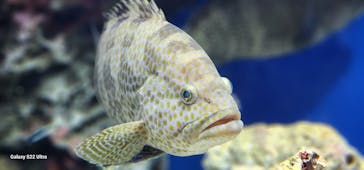 大分マリーンパレス水族館 「うみたまご」に投稿された画像（2025/3/2）