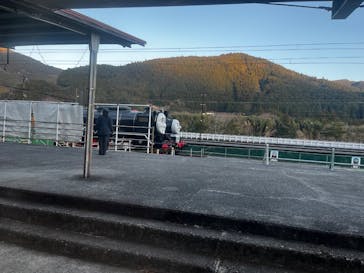 大井川鐵道株式会社に投稿された画像（2025/3/2）