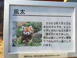 千葉市動物公園に投稿された画像（2025/3/2）