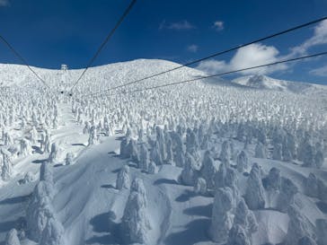 蔵王ロープウェイに投稿された画像（2025/3/2）