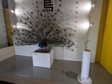 特別展「鳥 ～ゲノム解析が解き明かす新しい鳥類の系統～」国立科学博物館に投稿された画像（2025/3/2）