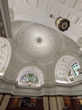 特別展「鳥 ～ゲノム解析が解き明かす新しい鳥類の系統～」国立科学博物館に投稿された画像（2025/3/2）