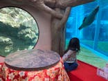 京都水族館に投稿された画像（2025/3/2）