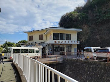 熱川バナナワニ園に投稿された画像（2025/3/2）