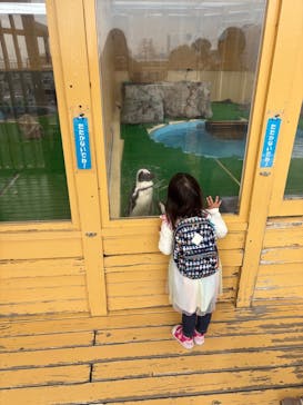 名古屋港水族館に投稿された画像（2025/3/2）