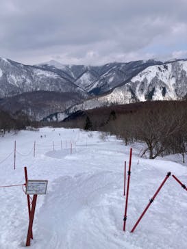 黒伏高原スノーパーク ジャングル・ジャングルに投稿された画像（2025/3/2）