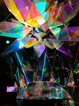 NARA IKIMONO MUSEUMに投稿された画像（2025/3/2）