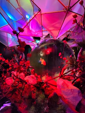 NARA IKIMONO MUSEUMに投稿された画像（2025/3/2）