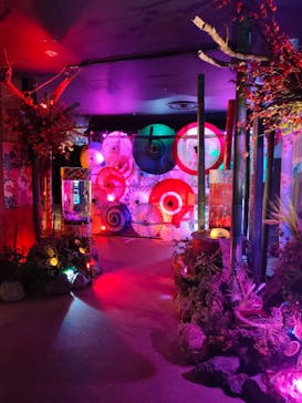 NARA IKIMONO MUSEUMに投稿された画像（2025/3/2）