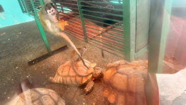 宇都宮動物園に投稿された画像（2025/3/2）