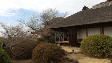 偕楽園本園に投稿された画像（2025/3/2）