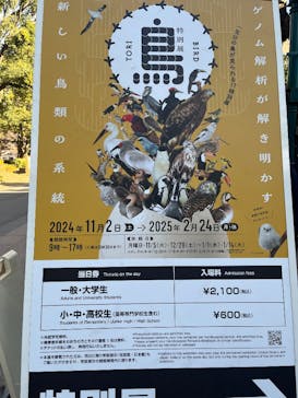 特別展「鳥 ～ゲノム解析が解き明かす新しい鳥類の系統～」国立科学博物館に投稿された画像（2025/3/2）