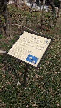 偕楽園本園に投稿された画像（2025/3/2）