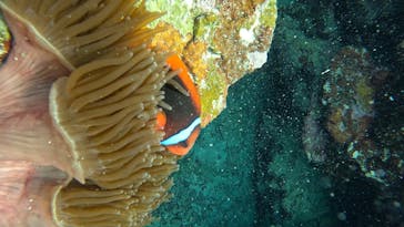  マリンショップHAPPYに投稿された画像（2025/3/2）