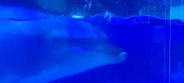 マリンワールド海の中道に投稿された画像（2025/3/2）