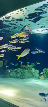 マリンワールド海の中道に投稿された画像（2025/3/2）