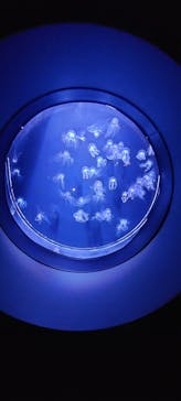 マリンワールド海の中道に投稿された画像（2025/3/2）