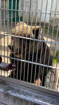 東武動物公園に投稿された画像（2025/3/2）